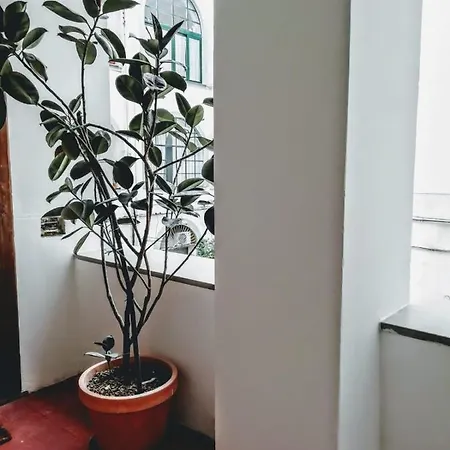 Peter Pan 살레르노